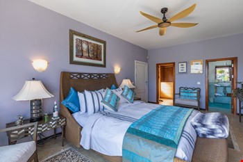 Sunshine Suite
